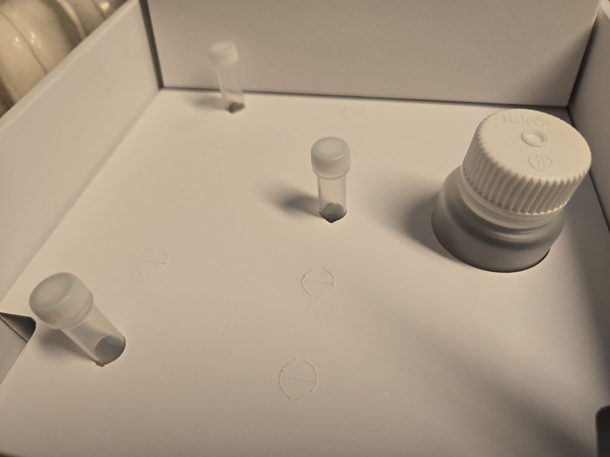 GeneVectoAnalyzer toolkit vials and laboratory setup